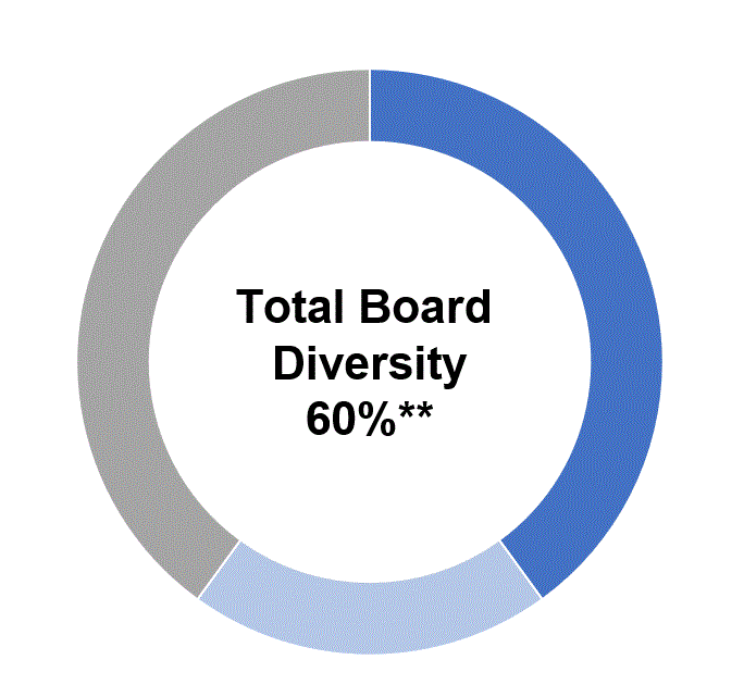 Total Board Diversityv3.gif
